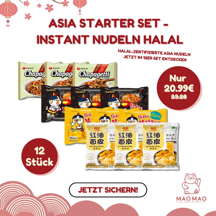 Asia Starter Set - Instant Nudeln Halal