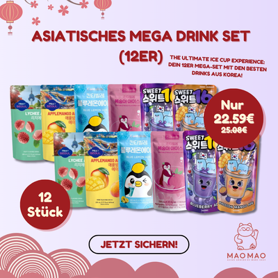 Asiatisches Mega Drink Set (12er)