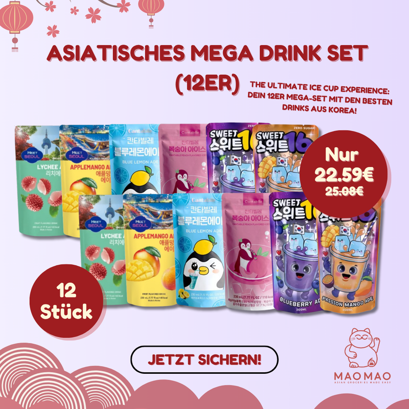 Asiatisches Mega Drink Set (12er)